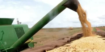 China e EUA terão que negociar e agro brasileiro pode sair perdendo, diz especialista