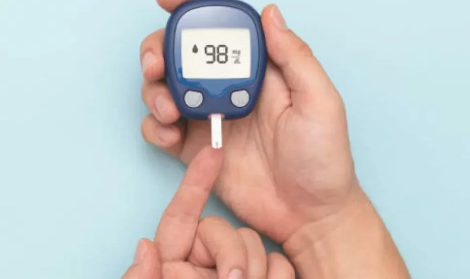 Controla el azúcar: la planta ideal para cuidar su glucosa y fortalecer la memoria