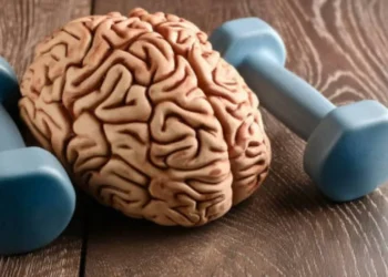 Agudiza la memoria y reduce el estrés: las tres actividades que fortalecen el cerebro
