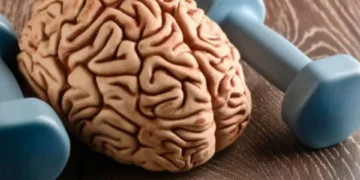 Agudiza la memoria y reduce el estrés: las tres actividades que fortalecen el cerebro