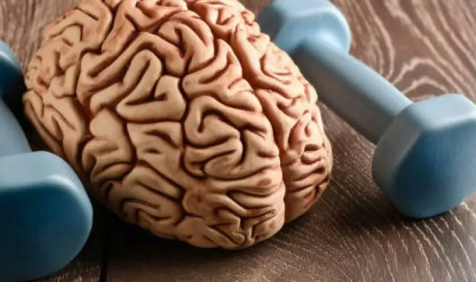 Agudiza la memoria y reduce el estrés: las tres actividades que fortalecen el cerebro