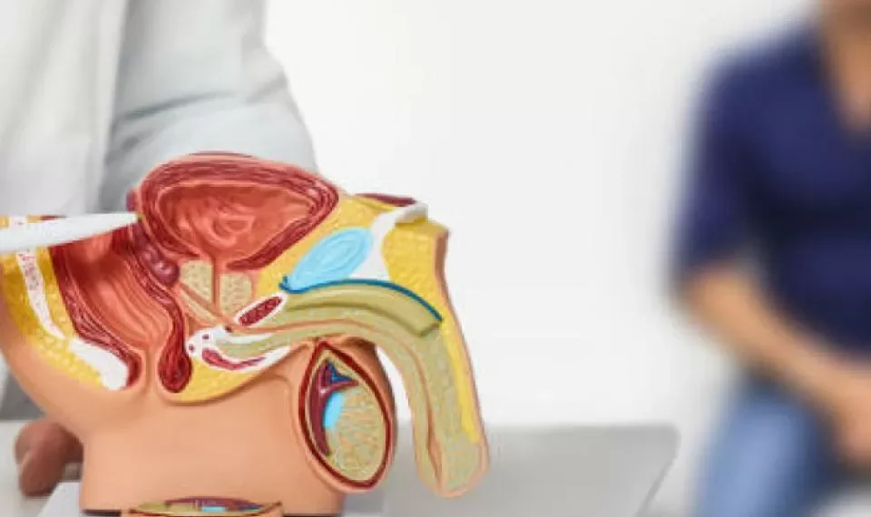 ¿Cómo desinflamar la próstata de forma rápida y natural? Tiene esta opción