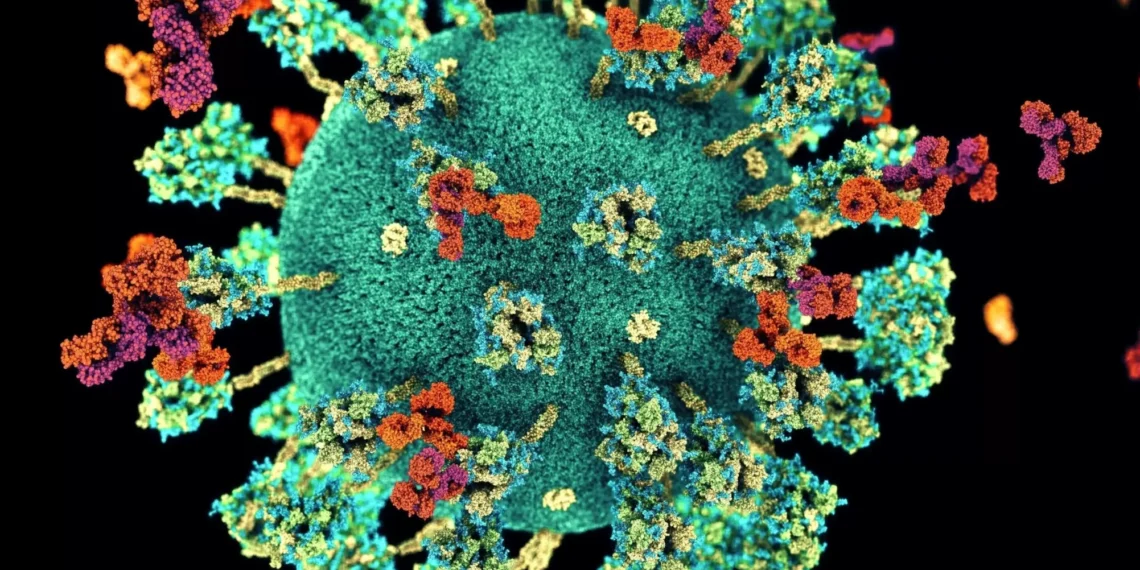 Estudo pode viabilizar o primeiro tratamento da COVID longa