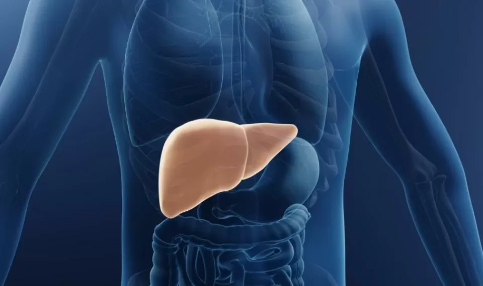 ¿Cuáles son las causas del hígado graso? Tenga cuidado