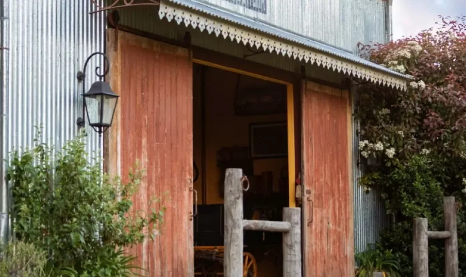 ‘Limpieza y prosperidad económica’: la planta milenaria que le abre paso al dinero