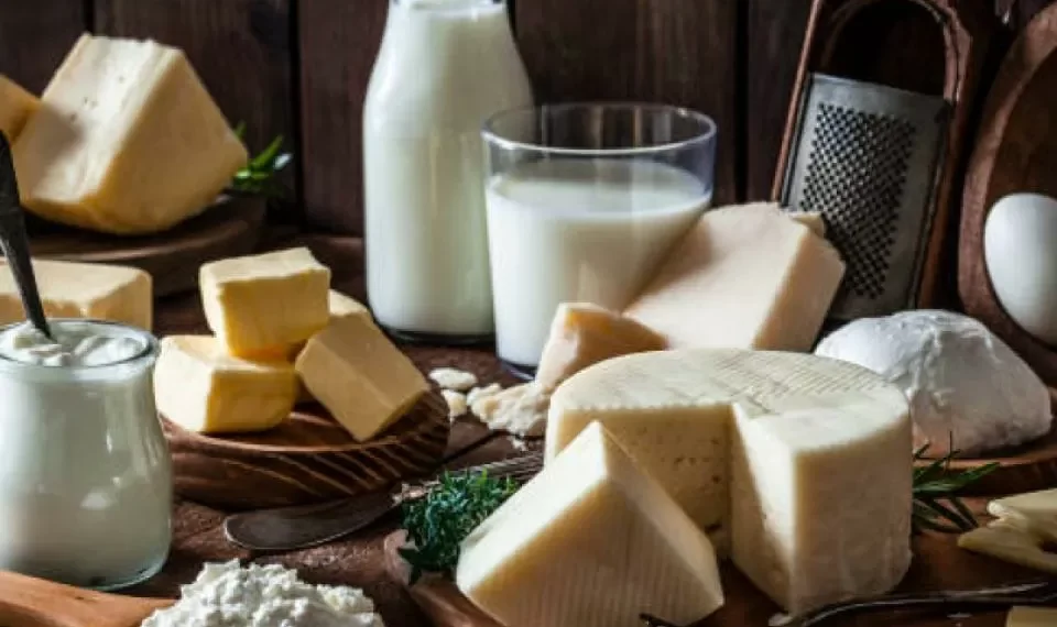 El lácteo que ayuda a prevenir los problemas de colon e intestinales, según Harvard