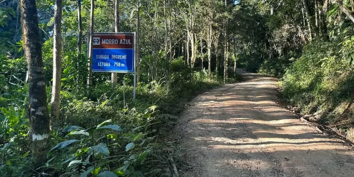 Corrida de Rua Desafio 10 Milhas movimenta Timbó neste domingo (6)