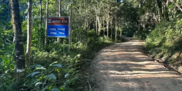 Corrida de Rua Desafio 10 Milhas movimenta Timbó neste domingo (6)