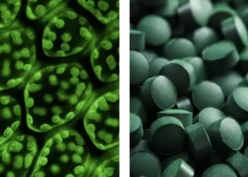 El consumo de clorofila está de moda, pero ¿realmente tiene beneficios?