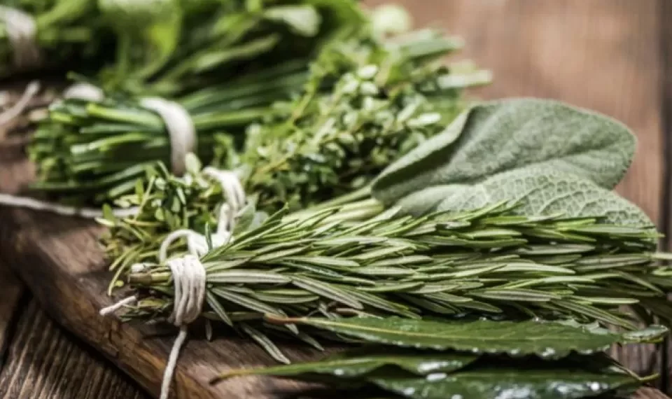 Para prestar atención: las hierbas ideales para combatir el hígado graso