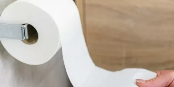 Adiós al papel higiénico: la innovadora propuesta japonesa para ir al baño