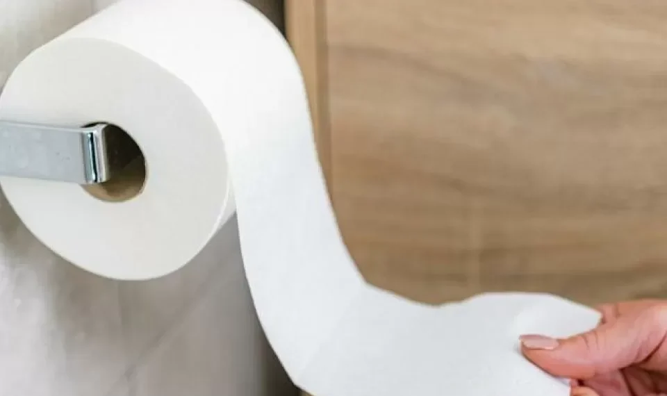 Adiós al papel higiénico: la innovadora propuesta japonesa para ir al baño