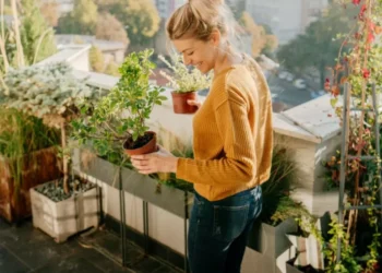 Las 6 plantas para tener en un balcón (duran todo el año y con todos los climas)