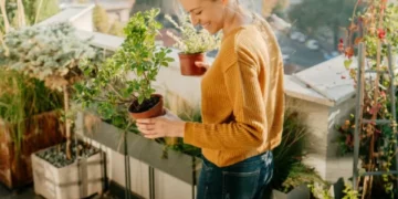 Las 6 plantas para tener en un balcón (duran todo el año y con todos los climas)