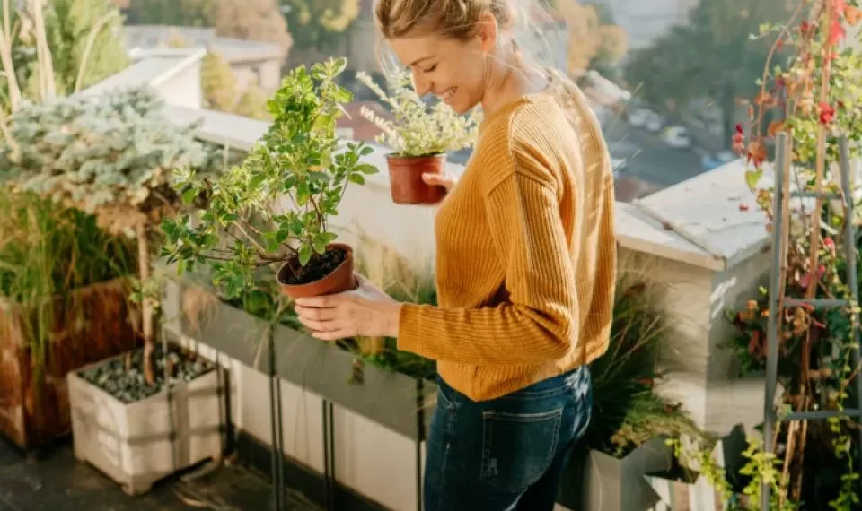 Las 6 plantas para tener en un balcón (duran todo el año y con todos los climas)