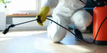 Ni serpiente ni cucaracha: esta es la plaga más peligrosa que puede aparecer en su casa