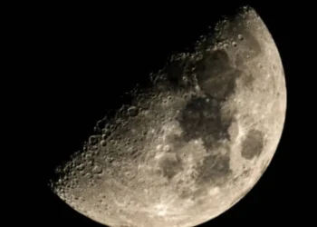 Luna de Flores 2025: rituales para atraer amor, renovación y armonía con su energía