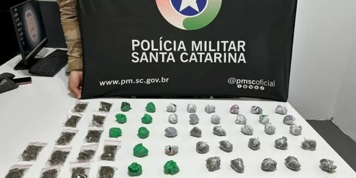 Criança de 1 ano e 9 meses é encontrada sozinha em casa com drogas em SC