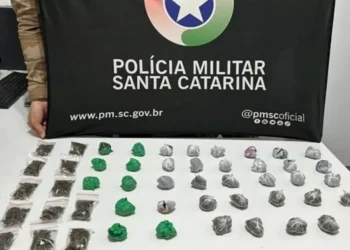 Criança de 1 ano e 9 meses é encontrada sozinha em casa com drogas em SC