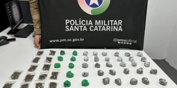 Criança de 1 ano e 9 meses é encontrada sozinha em casa com drogas em SC