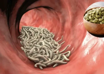 Dígale adiós a los parásitos intestinales: las 6 recetas caseras para limpiar su cuerpo
