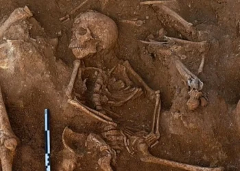 Escavação de igreja em Portugal revela 12 esqueletos enterrados