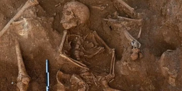 Escavação de igreja em Portugal revela 12 esqueletos enterrados