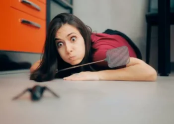 ¿Cómo reconocer una picadura de araña en casa? Las señales que debe observar