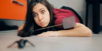 ¿Cómo reconocer una picadura de araña en casa? Las señales que debe observar