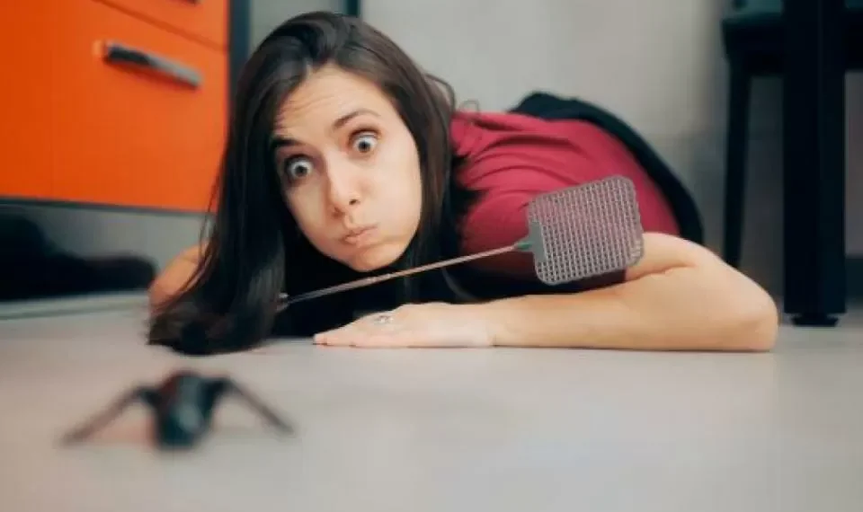 ¿Cómo reconocer una picadura de araña en casa? Las señales que debe observar