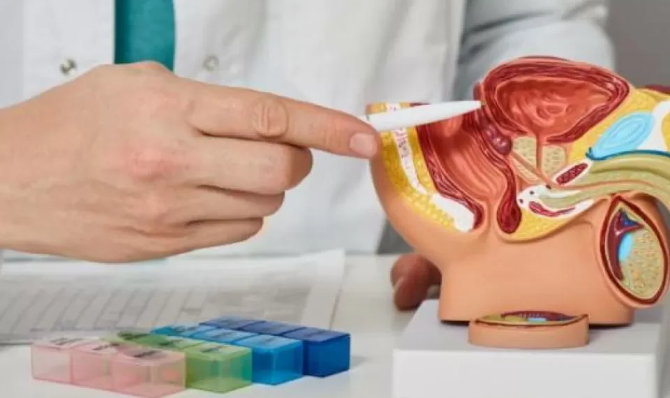 ¿Tener relaciones sexuales es bueno para la próstata? Podría prevenir enfermedades