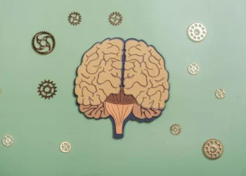 Estudo brasileiro descobre molécula que reverte declínio cognitivo