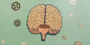 Estudo brasileiro descobre molécula que reverte declínio cognitivo