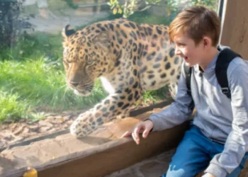 Profepa asegura 119 animales en el Zoológico de Culiacán por irregularidades en manejo