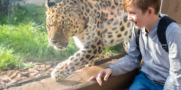 Profepa asegura 119 animales en el Zoológico de Culiacán por irregularidades en manejo