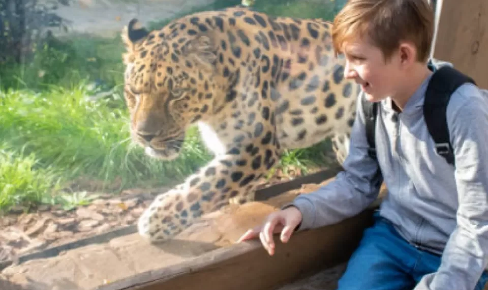 Profepa asegura 119 animales en el Zoológico de Culiacán por irregularidades en manejo