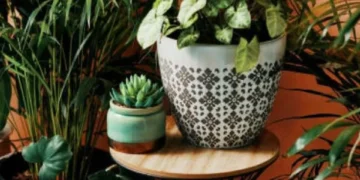 ¿Qué significa que una persona tenga muchas plantas en su casa, según la psicología?