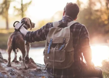 Por qué su perro puede ser el mejor aliado para realizar actividad física