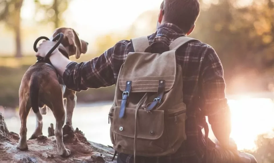 Por qué su perro puede ser el mejor aliado para realizar actividad física