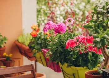 La mezcla de agua con 1 ingrediente de cocina que revivirá sus plantas