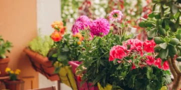 La mezcla de agua con 1 ingrediente de cocina que revivirá sus plantas