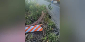 Moradora denuncia buraco na BR-470 que faz carros e caminhões caírem em Indaial