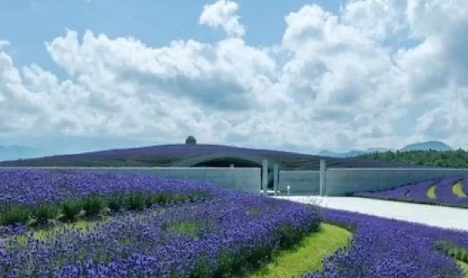 ¿Qué planta elimina la energía negativa del hogar?