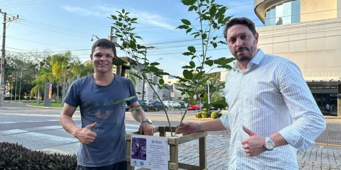 Ipê roxo é plantado onde árvore caiu após temporal em Timbó