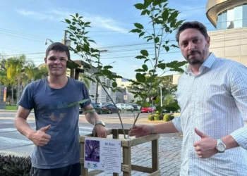 Ipê roxo é plantado onde árvore caiu após temporal em Timbó