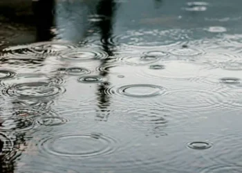 El experimento que reveló cómo la lluvia puede ser una fuente de contaminación
