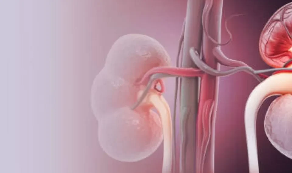 Dígales ‘adiós’: los 7 alimentos que peor le hacen a los riñones