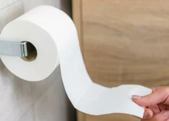 Adiós al papel higiénico: la innovadora propuesta japonesa para ir al baño