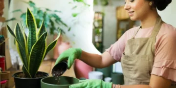 Cuatro pasos para lograr un hogar saludable, según expertos en bienestar