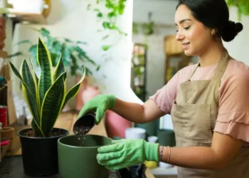 Cuatro pasos para lograr un hogar saludable, según expertos en bienestar